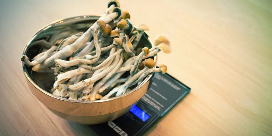 5 Best Magic Mushroom Strains For Therapy